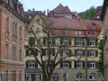 DSC04707