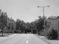 DSC01461sw