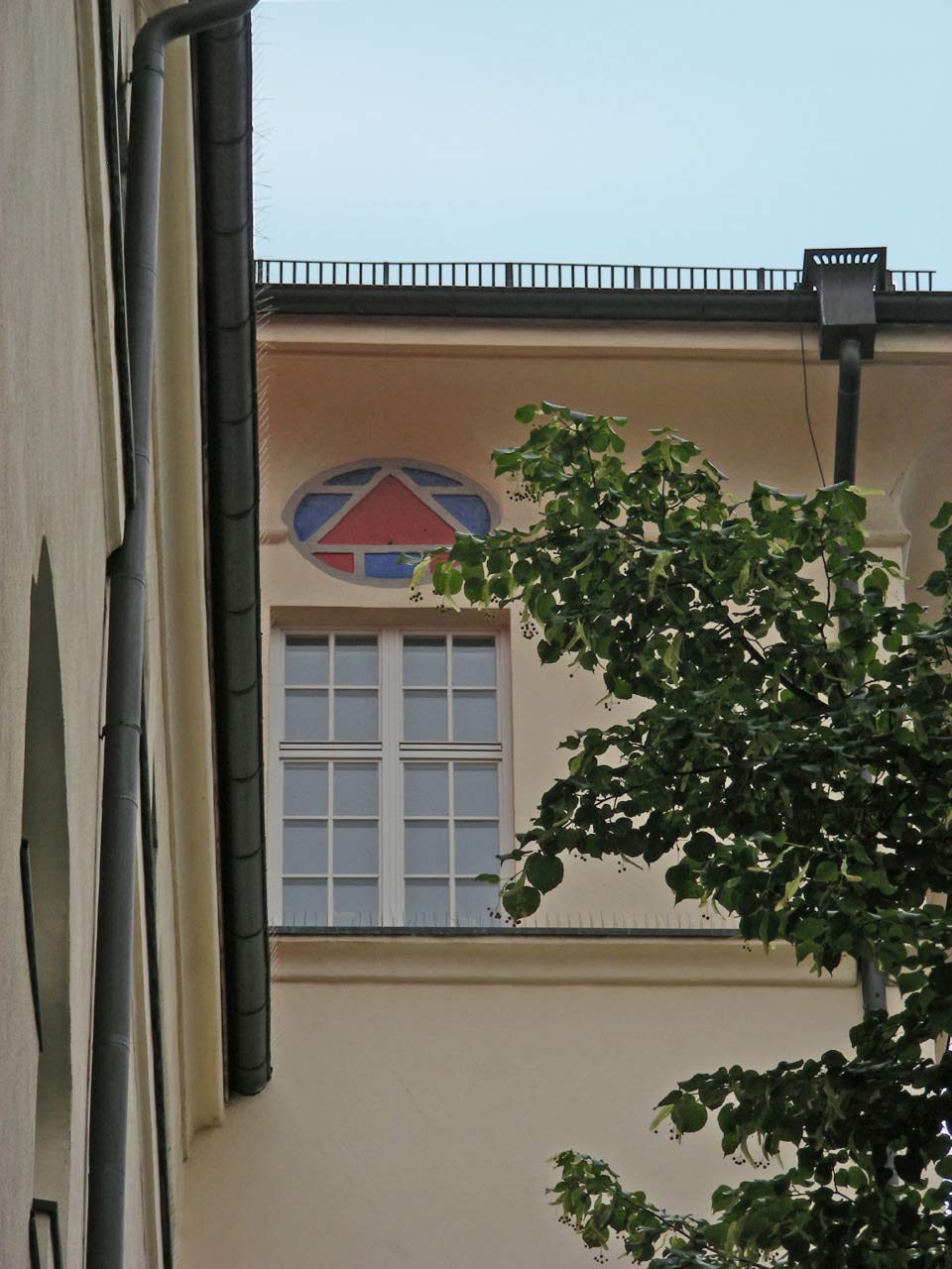 DSCN7688neu