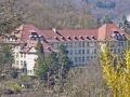 DSC01313