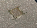 DSCN7301neu